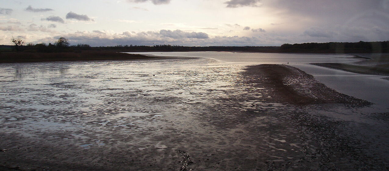 Vue de l'Etang de Lachaussée